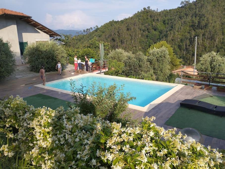 Villa Degli Ulivi Tivegna エクステリア 写真