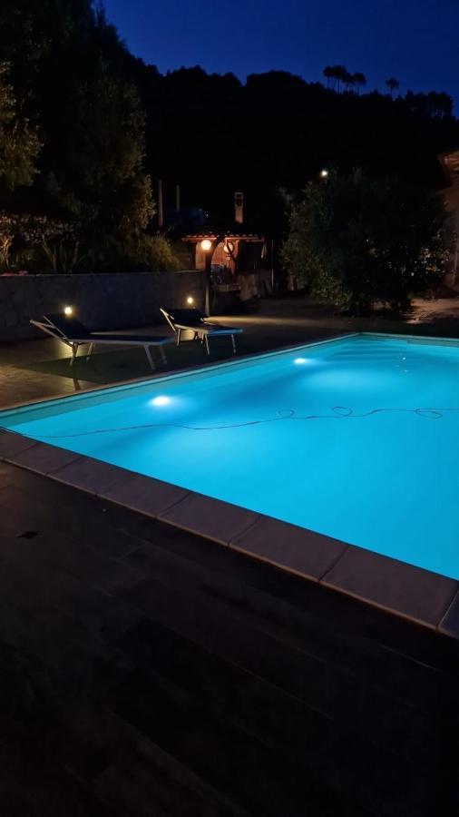 Villa Degli Ulivi Tivegna エクステリア 写真