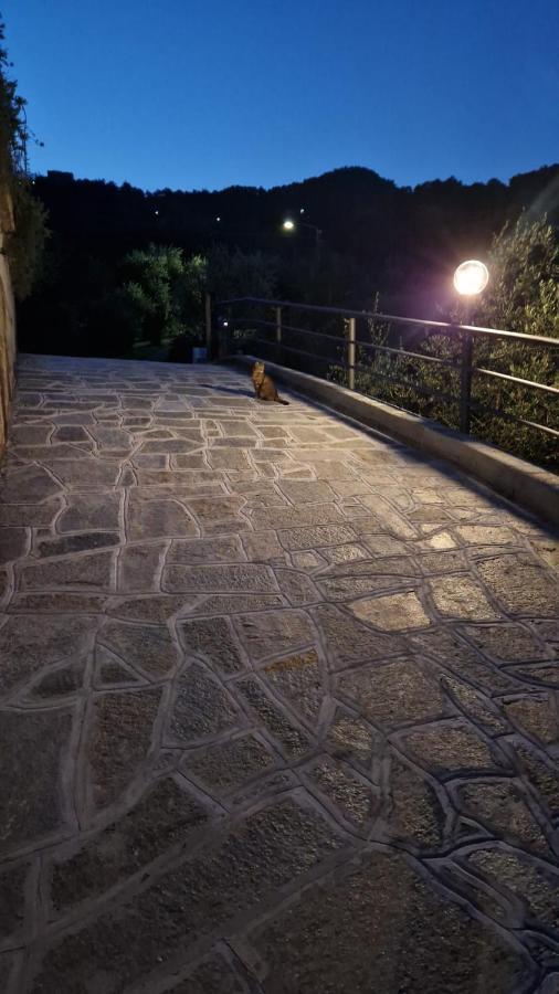 Villa Degli Ulivi Tivegna エクステリア 写真