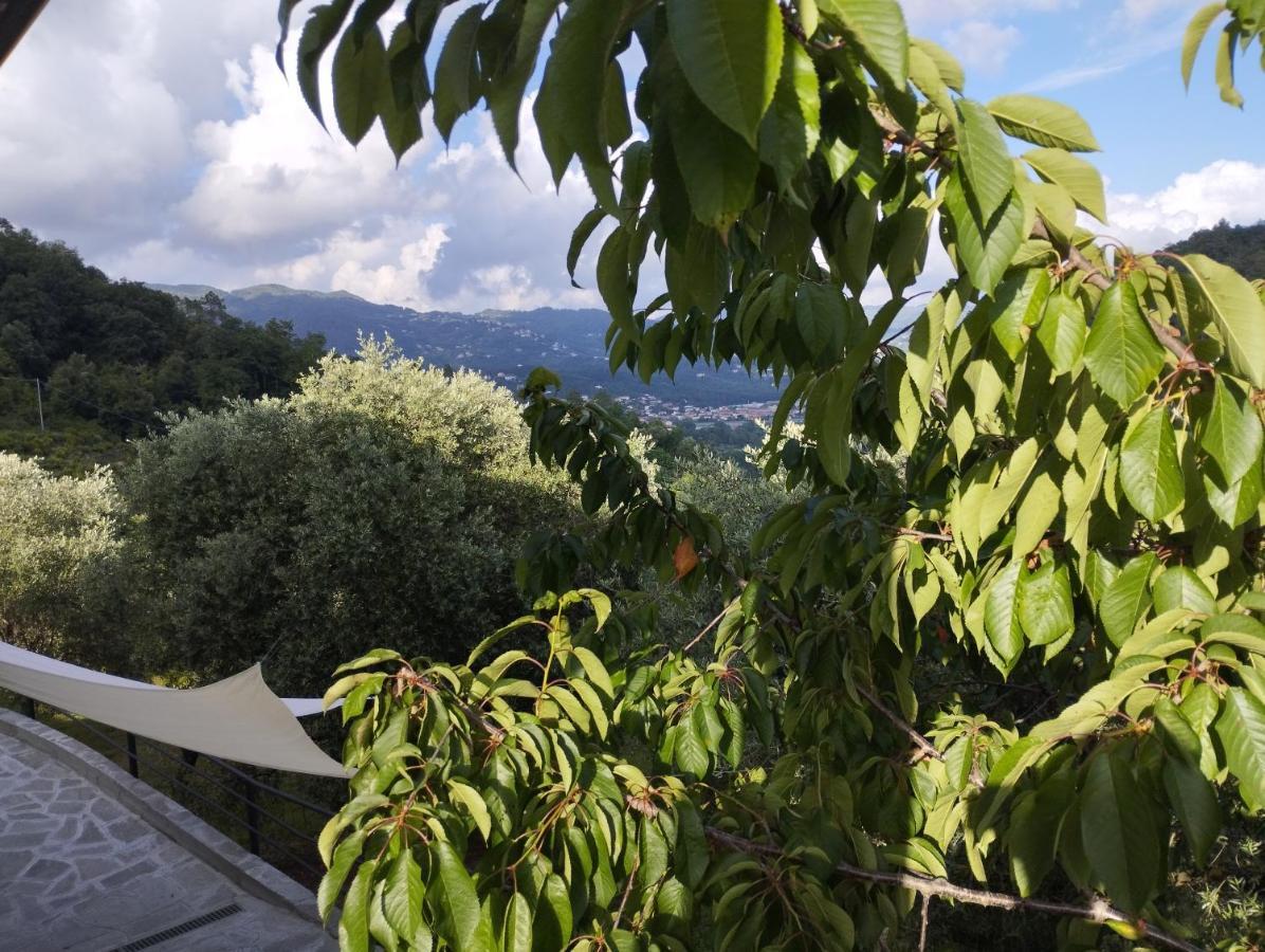 Villa Degli Ulivi Tivegna エクステリア 写真