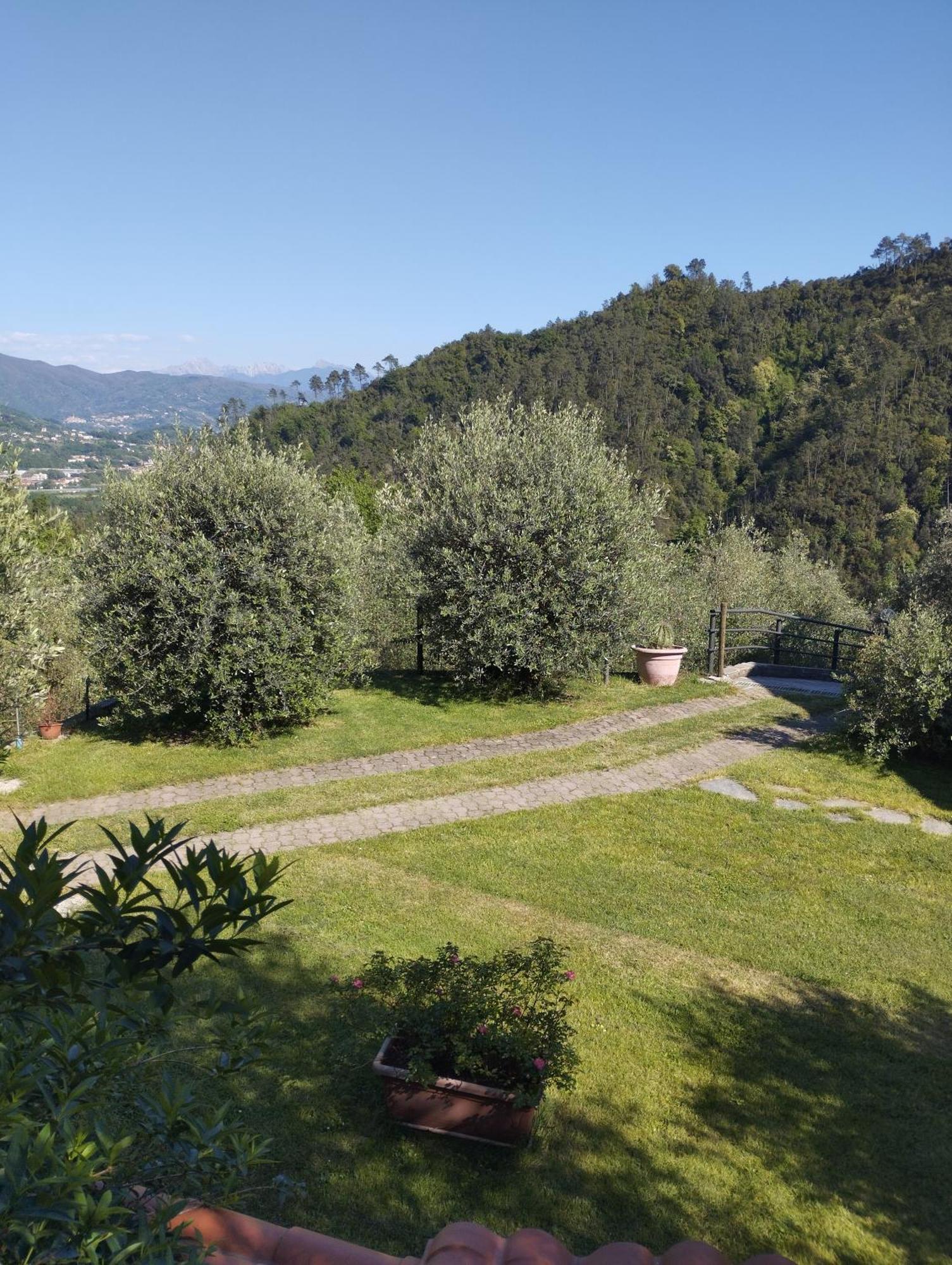 Villa Degli Ulivi Tivegna エクステリア 写真